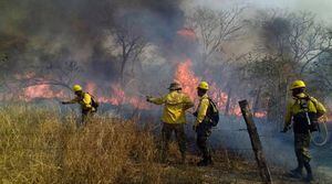 Incendio en la Amazonía: Bolivia alquilará avión cisterna para combatir las llamas