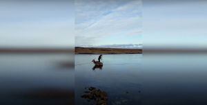 Vídeo impressionante registra resgate de animal preso em lago congelado na Escócia
