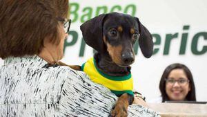 Banco Promerica inaugura nueva agencia Pet Friendly