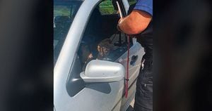 Vídeo: Homem arrebenta vidro com machado para salvar cão esquecido no carro fechado
