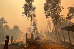 Gobierno decretó estado de catástrofe en el Ñuble por incendios forestales