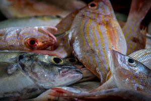 Exhortan a consumir pescado local en Semana Santa