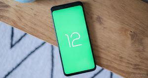 Los primeros usuarios que instalan Android 12 filtran un montón de nuevas características que llegan al sistema operativo
