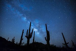 Contaminación lumínica: al año se pierde hasta un 4% de los cielos oscuros