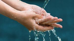 Nutre tus manos resecas debido al jabón y al gel