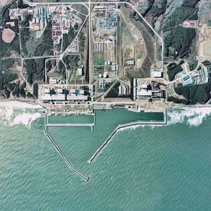 Ciencia: ¿qué tan radioactiva es el agua de Fukushima y cómo afectará a la fauna del mar?