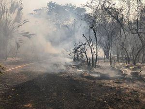 Analizan decretar alerta roja por incendios forestales en municipios de Petén