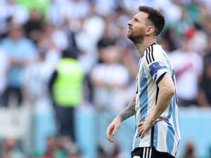 En Brasil se ríen de la desgracia de Argentina en el Mundial: hasta festejaron con la predicción del Tapir Manolo