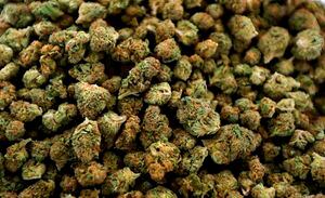 Michigan permite la marihuana recreativa