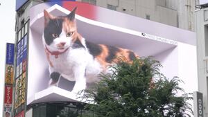 Un gato gigante en 3D se pasea por el centro de Tokio