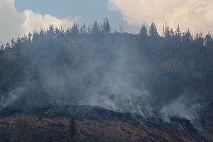Se reactivan incendios forestales: Autoridad solicitó evacuar sectores de la región del Biobío y La Araucanía