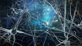 La neurogénesis y su importancia 