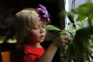 Cinco plantas perfectas para inculcarle a los niños el amor por la naturaleza