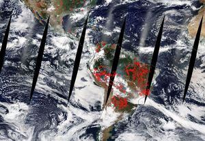 ¿Qué tan graves son los incendios forestales en el Amazonas en Brasil?
