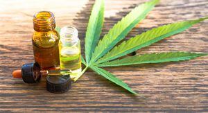 Condiciones del 'Cannabis medicinal' que se podrá consumir en Ecuador