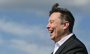 Elon Musk donará mil millones de dólares a Wikipedia… solo si se cambia el nombre a “Penepedia”