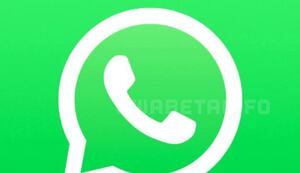 WhatsApp trabalha em novo recurso para personalização do app de mensagens