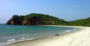 Playas de Ecuador reabren el 22 de julio; se mantiene prohibido funcionamiento de bares y discotecas