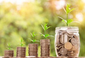 Cuatro plantas que atraerán al hogar el dinero y la prosperidad