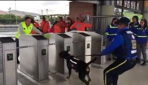 Por video aseguran que perros de seguridad de TransMilenio tratan de atacar a colados
