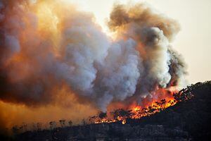 Estudio: Extinción masiva de hace 260 millones de años habría tenido comportamientos similares a los de la actualidad