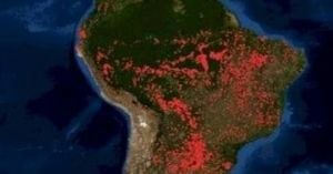6 cosas que pasarían si la selva del Amazonas desaparece