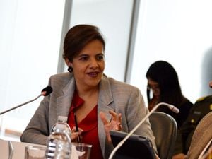 Ministra María Paula Romo dice que censo de venezolanos comenzará "en unas semanas"