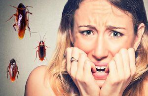 Trucos: Elimina las cucarachas de tu hogar sin necesidad de insecticida
