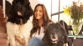 Gatos y perros lucen accesorios de la emprendedora Daniela Rivera