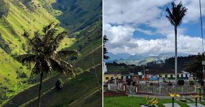 ¿Lo conoce? Este pueblo de Caldas es confundido con el valle del Cocora