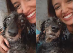 “Amor puro”: Yamila Reyna publica tiernas postales de su querido perrito en redes sociales