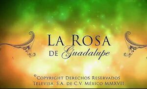 Televidentes están indignados con RCN porque están cortando las escenas del viento en 'La rosa de Guadalupe'