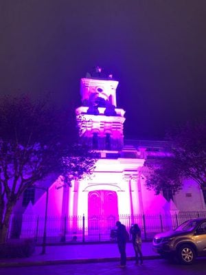 Cuenca se une a campaña rosa