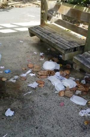 Tablado de Piñones lleno de basura tras visitas del fin de semana