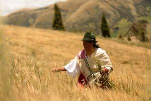 Cervecería Nacional apuesta por la agricultura con el programa Siembra por Contrato