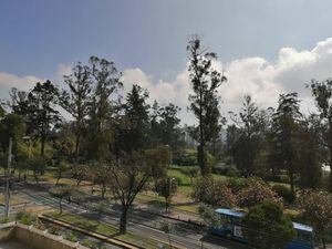 Parques de Quito se habilitan este 3 de junio pero no para actividades deportivas