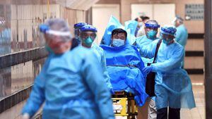 ¿Negligencia? grupo de científicos asegura haber advertido a China sobre el posible escape del coronavirus en 2017