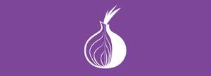 ¿Cómo funciona el navegador Tor Browser, y por qué debería utilizarlo? [FW Guía]