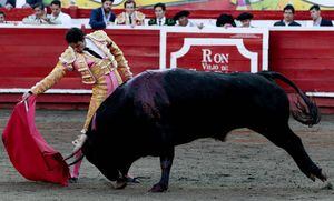 Gobierno se opone a corridas de toros y pide a la Cámara legislar