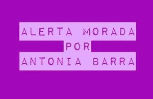 ¡Alerta Morada! El movimiento que se tomó las redes sociales por justicia para Antonia Barra