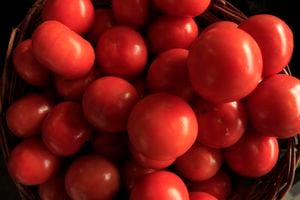 Tomates y pollo responsables de alzas: IPC de agosto llegó a 0,1%