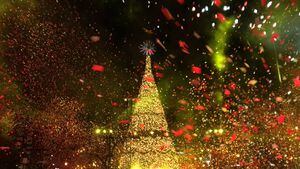 Festival Árbol Gallo encenderá la Navidad el 13 de noviembre