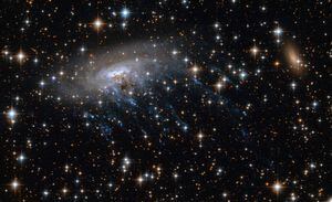 Galáxia em formato de ‘água-viva’ será estudada pelo telescópio Webb da NASA