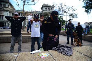 VIDEO. Con apoyo del agente Pluto, localizan droga en Plaza de la Constitución