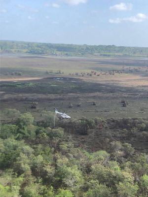 Localizan aeronave en pista clandestina en la Laguna del Tigre