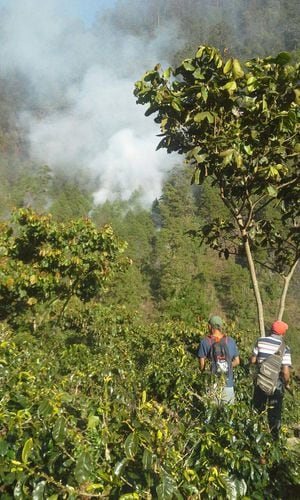Bomberos reportan más de 20 incendios forestales en las últimas 48 horas