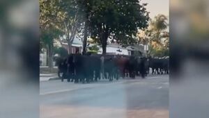 Vídeo registra momento em que rebanho de vacas foge de matadouro e se espalha pelas ruas de cidade e assusta moradores