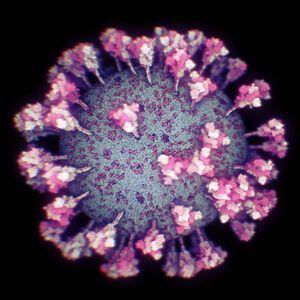 La impactante imagen de cómo se ve el coronavirus en 3D