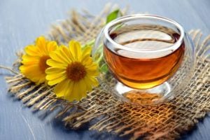 Plantas medicinales: té de árnica, beneficios y contraindicaciones