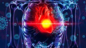 Las bacterias de tu estómago hacen que tu corazón esté saludable